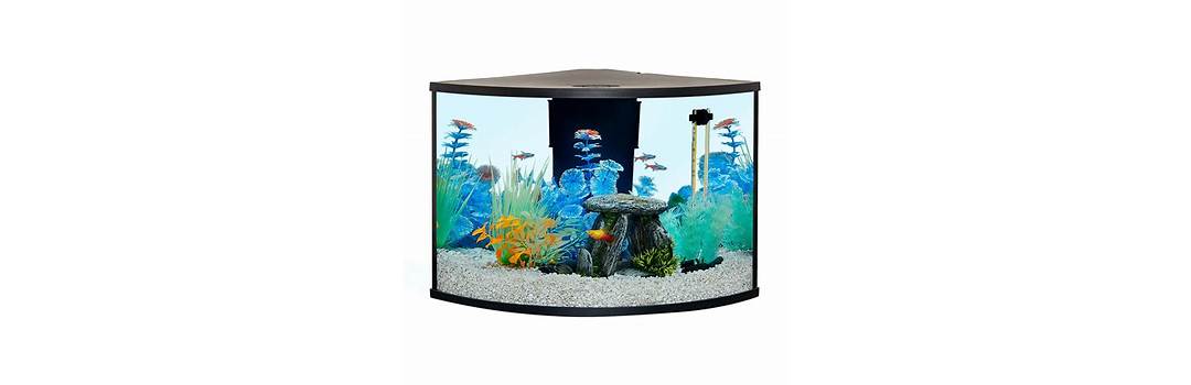 Ensuring fish tank accessories are included and functional